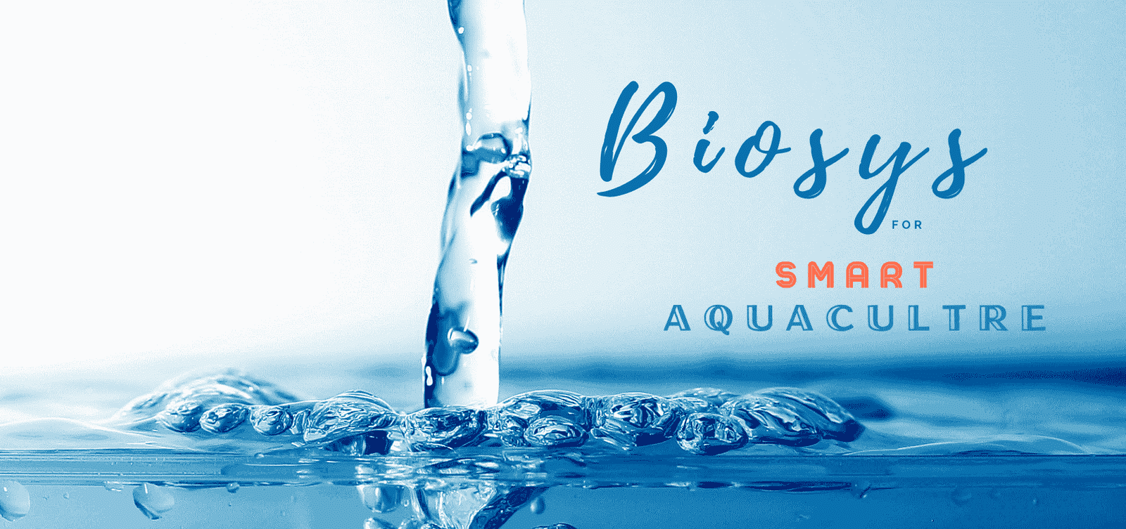 banner-biosys-top banner-biosys-top